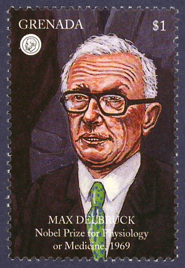 Max
                Delbrck