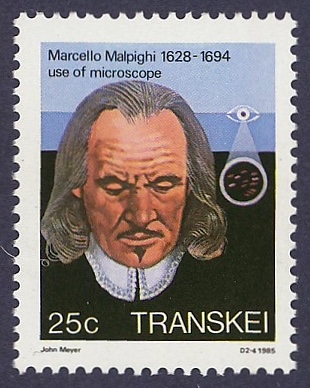 Marcello Malpighi