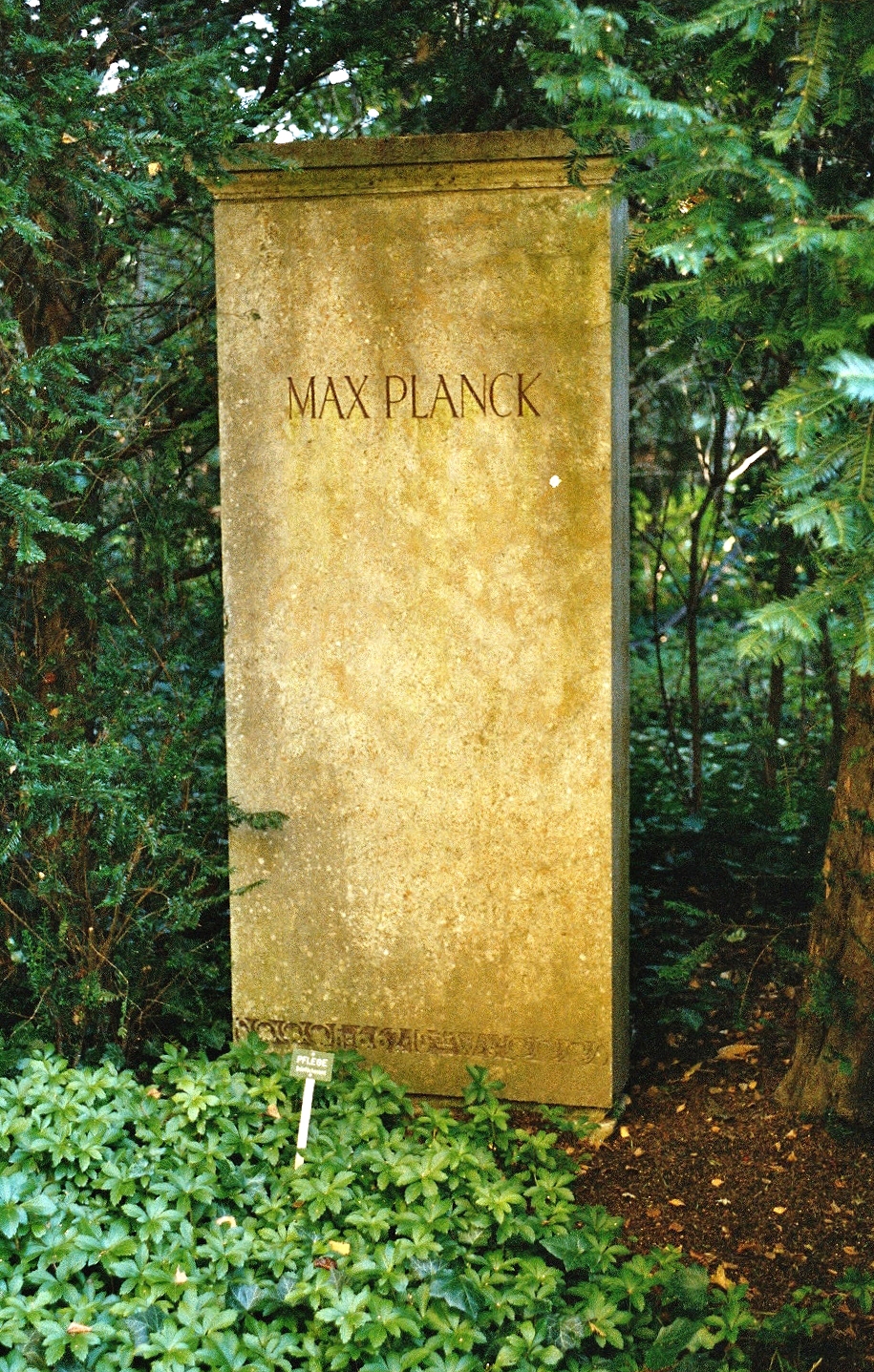 Max
Planck Göttingen